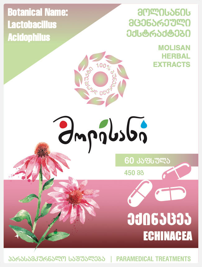 echinacea-purpurea